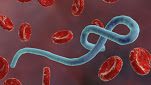 Ebola Virus - Top 10 List Of Worst Health Viruses Of All Time