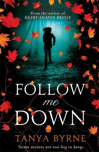 Top 10 Mystery Books For Young Adults Follow Me Down