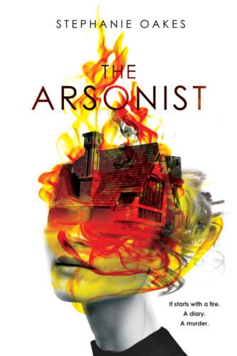 Top 10 Mystery Books For Young Adults The Arsonist