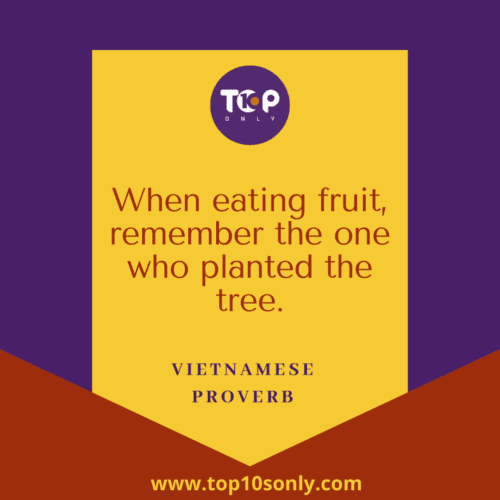 Top 10 World Gratitude Day Quotes & Sayings - When eating fruit, remember the one who planted the tree - Vietnamese Proverb