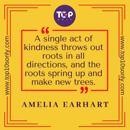 Top 10 Short & Meaningful Quotes & Sayings on Kindness: A single act of kindness throws out roots in all directions, and the roots spring up and make new trees – Amelia Earhart