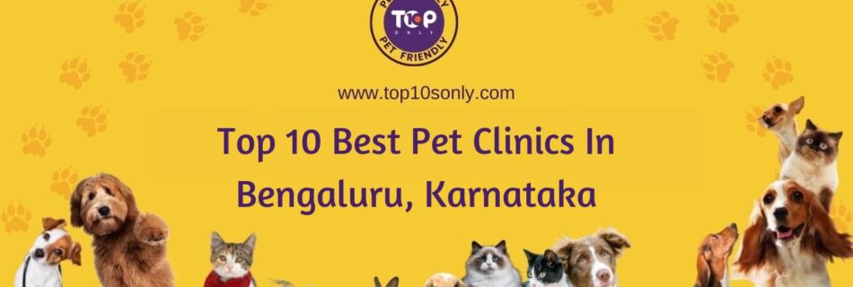 top 10 best pet clinics in bengaluru, karnataka