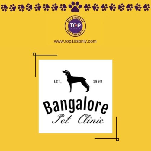 top 10 best pet clinics in bengaluru, karnataka bangalore pet clinic