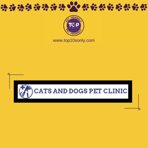 top 10 best pet clinics in bengaluru, karnataka cats and dogs pet clinic and shop
