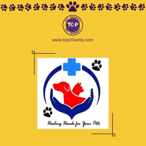 top 10 best pet clinics in bengaluru, karnataka lucky paws veterinary hospital