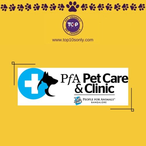 top 10 best pet clinics in bengaluru, karnataka pfa pet care and clinic