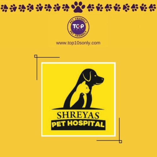 top 10 best pet clinics in bengaluru, karnataka shreyas pet hospital 