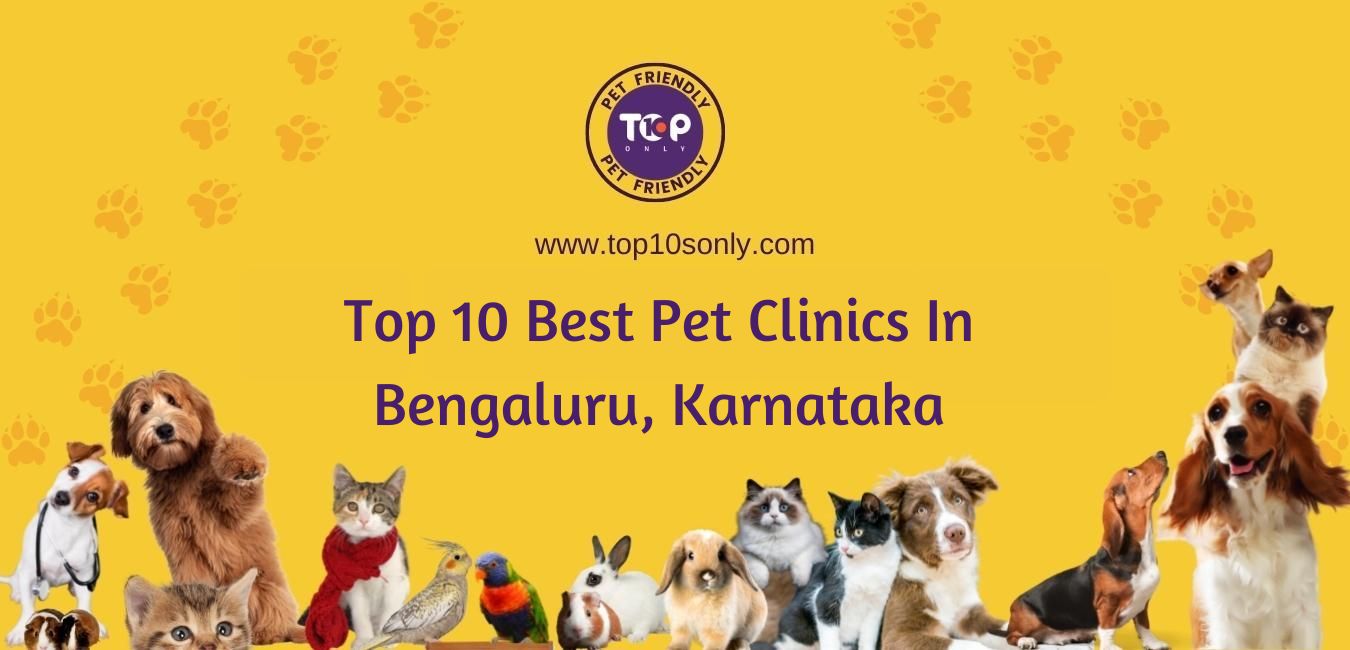 top 10 best pet clinics in bengaluru, karnataka