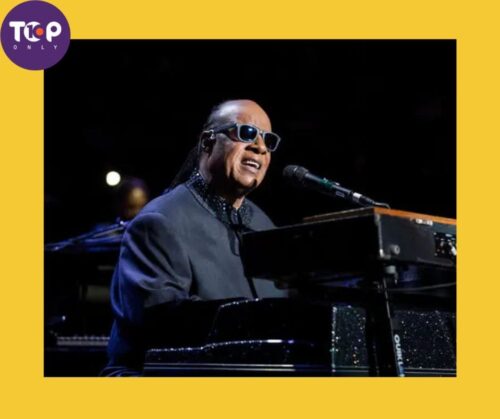 top 10 inspirational differently abled persons stevie wonder