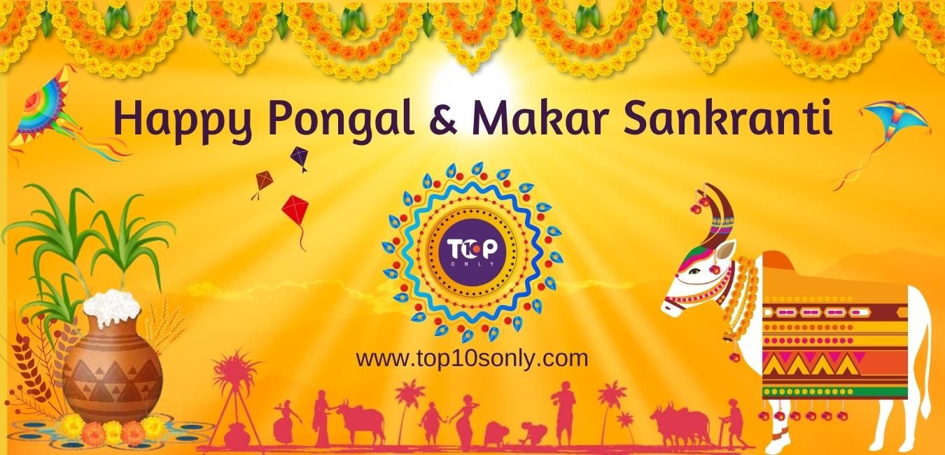 Celebrate The Indian Festivals of Pongal and Makar Sankranti | Top 10s Only