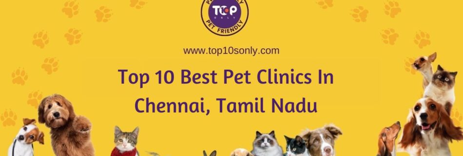 top 10 best pet clinics in chennai, tamil nadu