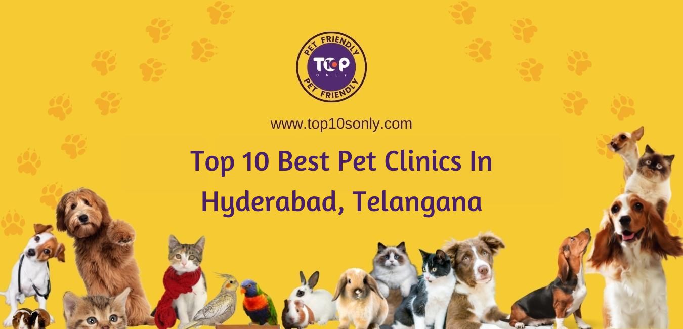 top 10 best pet clinics in hyderabad, telangana