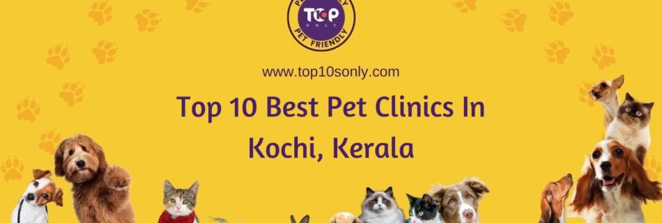 top 10 best pet clinics in kochi, kerala