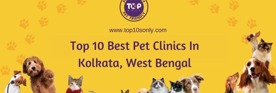 top 10 best pet clinics in kolkata, west bengal