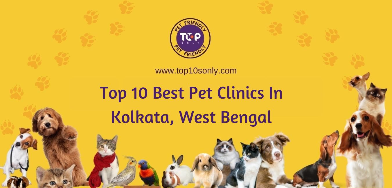 top 10 best pet clinics in kolkata, west bengal