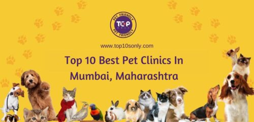 Top 10 Best Pet Clinics in Mumbai, Maharashtra | Top 10s Only