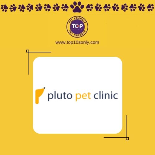 top 10 best pet clinics in mumbai, maharashtra pluto pet clinics andheri east andheri west malad west