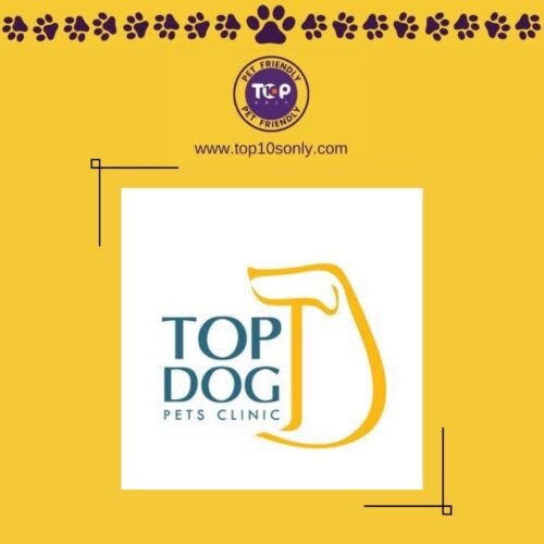 top 10 best pet clinics in mumbai, maharashtra top dog pets clinic andheri west