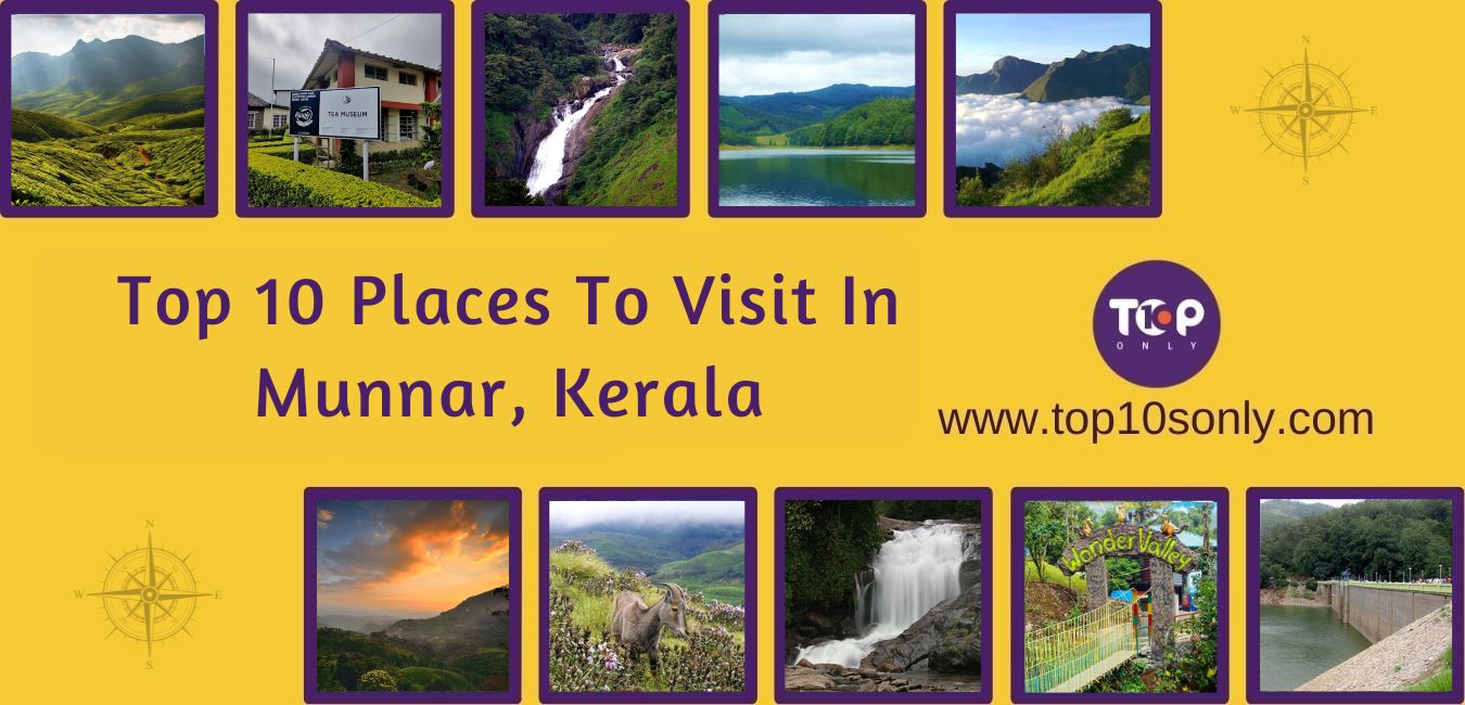 top 10 places to visit in munnar, kerala