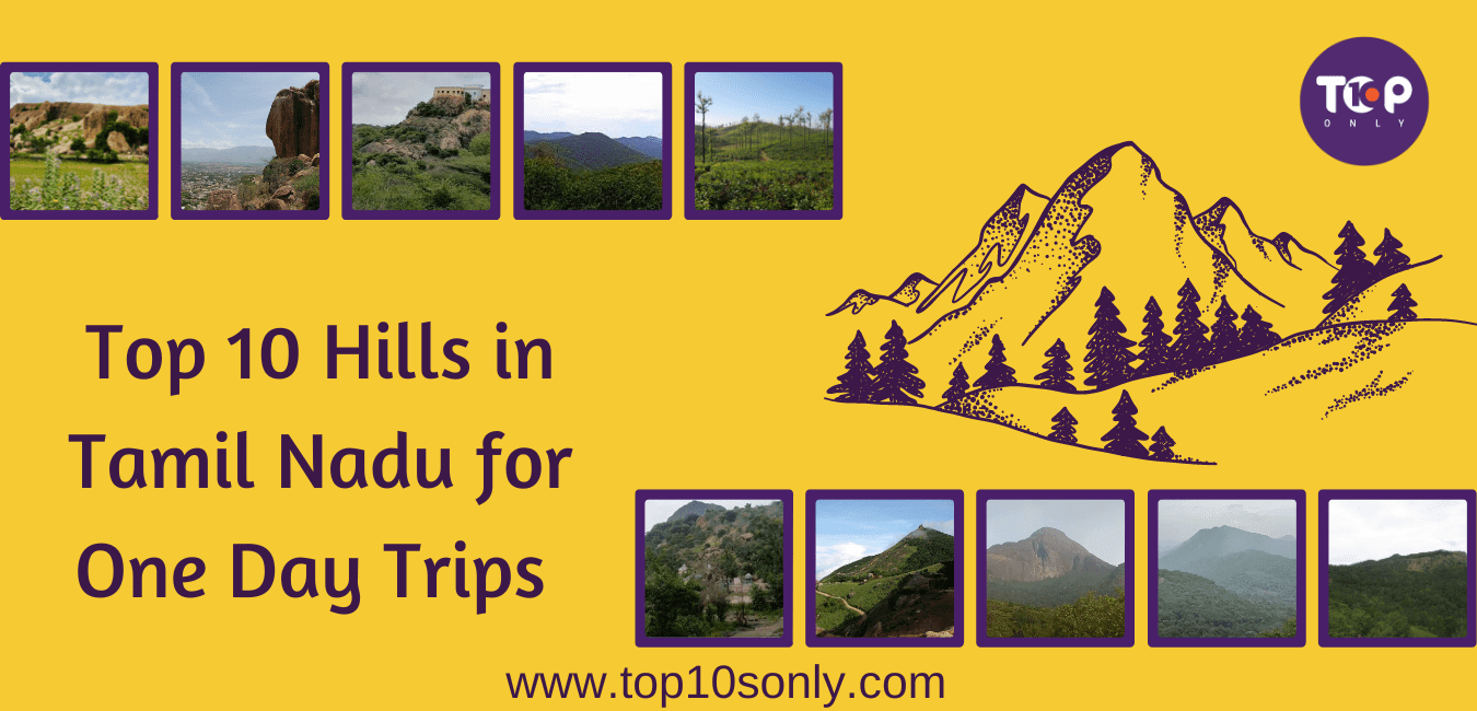 top 10 best hills in tamil nadu for one day adventure trips