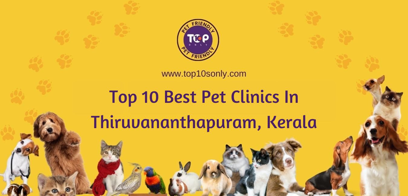 top 10 best pet clinics in thiruvananthapuram, kerala