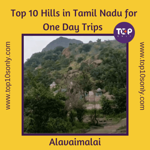 top 10 best hills in tamil nadu for one day adventure trips alavaimalai