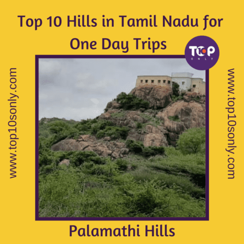 top 10 best hills in tamil nadu for one day adventure trips palamathi hills