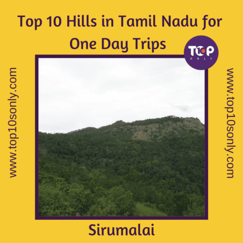 top 10 best hills in tamil nadu for one day adventure trips sirumalai