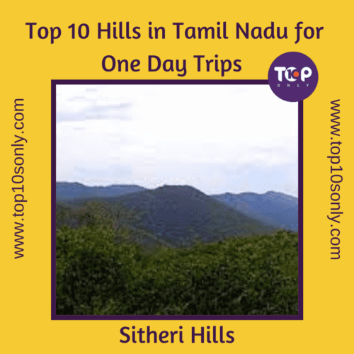 top 10 best hills in tamil nadu for one day adventure trips sitheri hills
