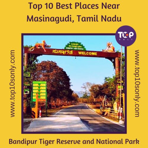 top 10 best places near masinagudi, tamil nadu bandipur tiger reserve and national park