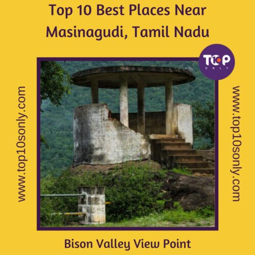 top 10 best places near masinagudi, tamil nadu bison valley view point