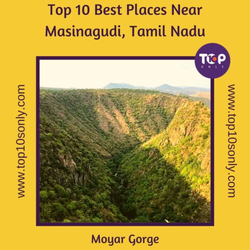 top 10 best places near masinagudi, tamil nadu moyar gorge