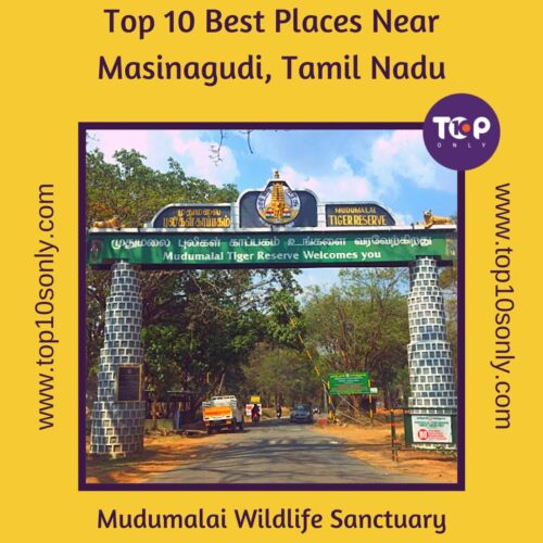 top 10 best places near masinagudi, tamil nadu mudumalai wildlife sanctuary