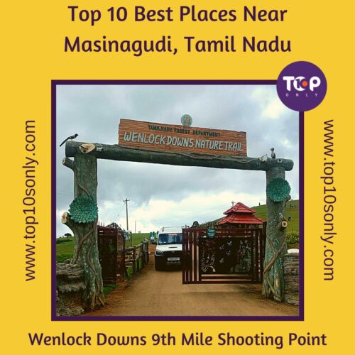 top 10 best places near masinagudi, tamil nadu wenlock downs 9th mile shooting point