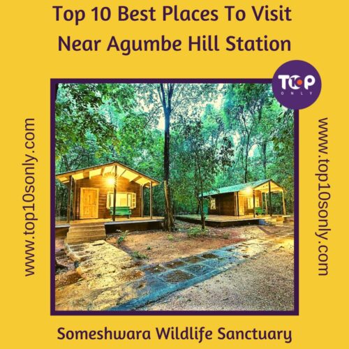 top 10 best places to visit in and around agumbe hill station, karnataka someshwara wildlife sanctuary