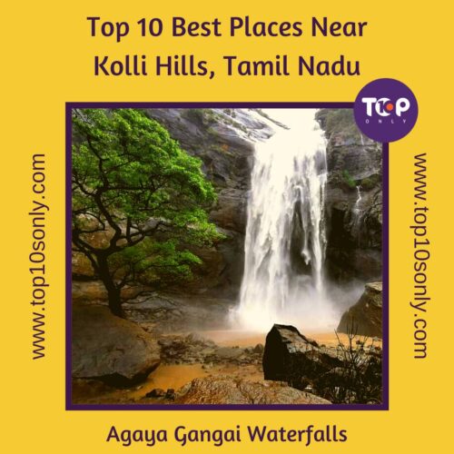 top 10 best places to visit in and around kolli hills, tamil nadu agaya gangai waterfalls
