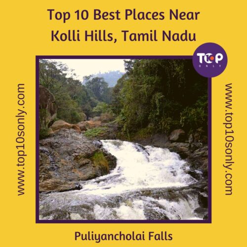 top 10 best places to visit in and around kolli hills, tamil nadu puliyancholai falls
