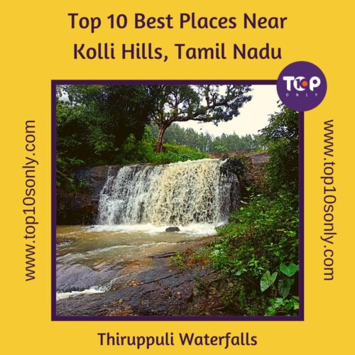 top 10 best places to visit in and around kolli hills, tamil nadu thiruppuli waterfalls
