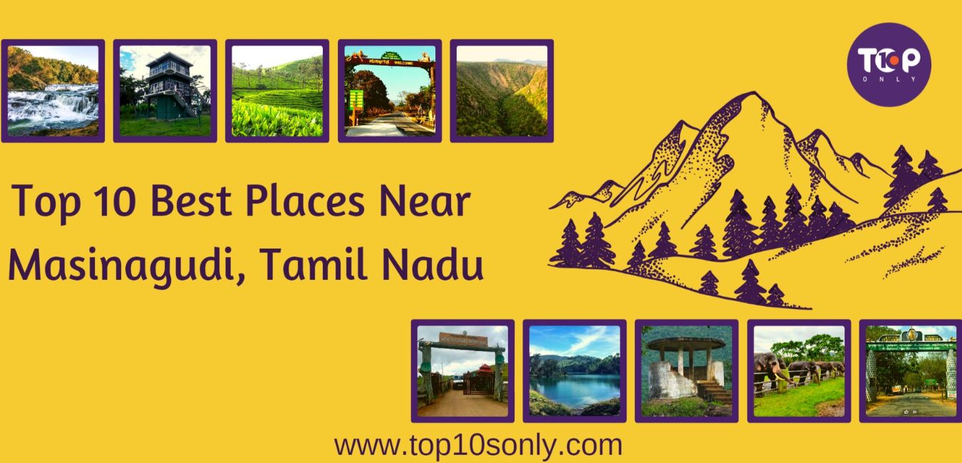 top 10 best places to visit in and around masinagudi hill station, tamil nadu