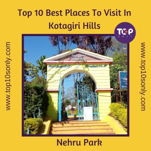 top 10 best places to visit in kotagiri hills nehru park