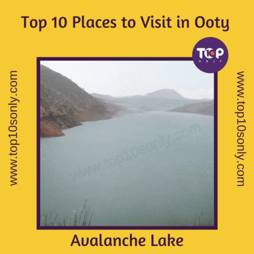 top 10 best places to visit in ooty avalanche lake.