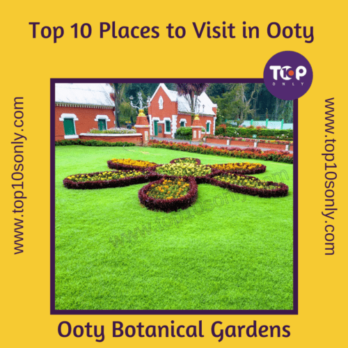 top 10 best places to visit in ooty botanical gardens