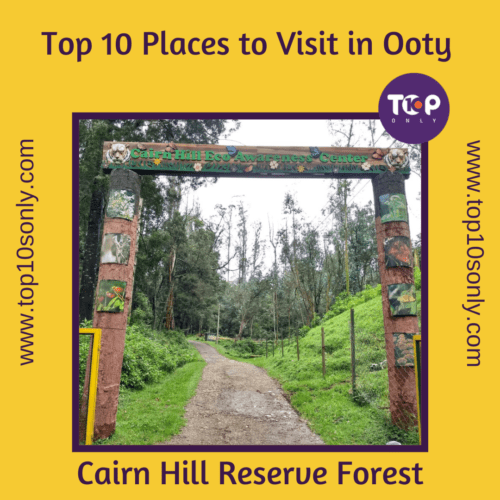 top 10 best places to visit in ooty cairn hill reserve forest ooty