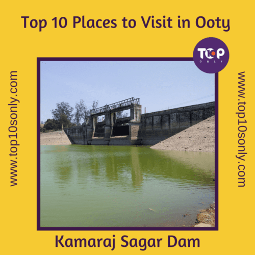 top 10 best places to visit in ooty kamaraj sagar dam