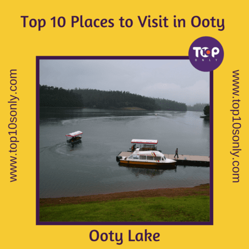 top 10 best places to visit in ooty ooty lake