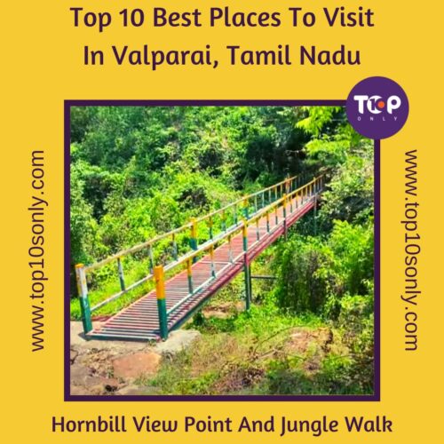 top 10 best places to visit in valparai, tamil nadu hornbill view point and jungle walk