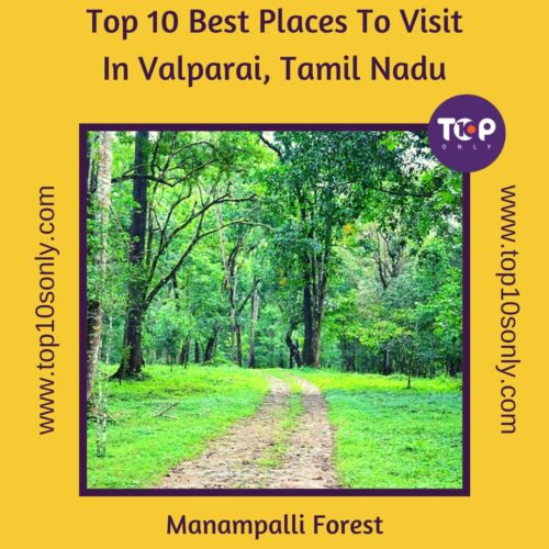 top 10 best places to visit in valparai, tamil nadu manampalli forest