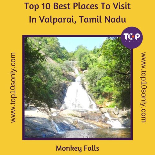 top 10 best places to visit in valparai, tamil nadu nallamudi viewpoint monkey falls