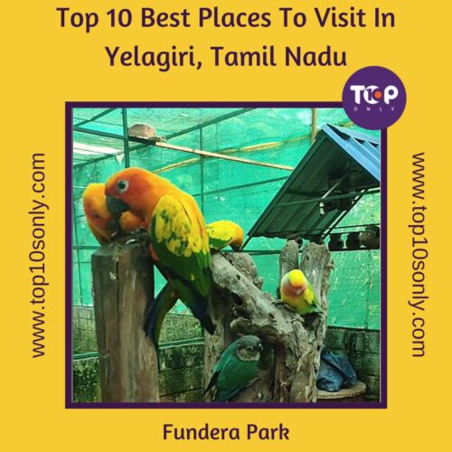 top 10 best places to visit in yelagiri, tamil nadu fundera park