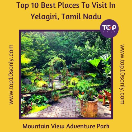 top 10 best places to visit in yelagiri, tamil nadu mountain view adventure park